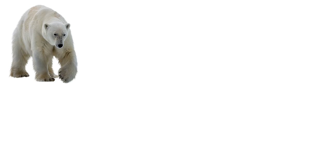 4.fw