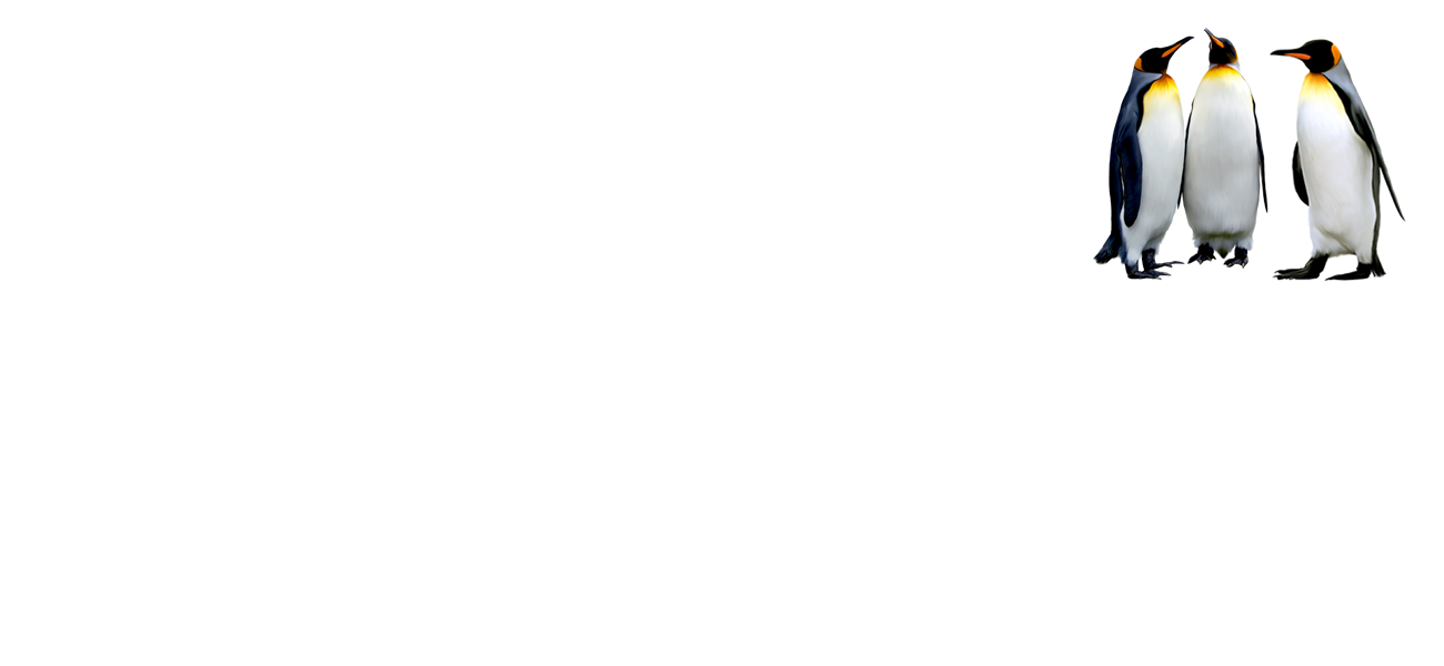 5.fw